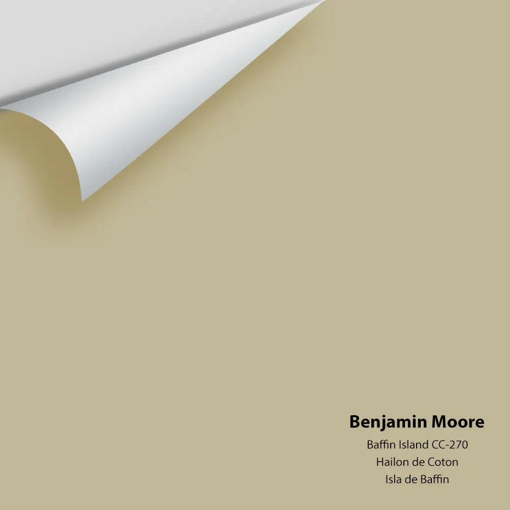 Benjamin moore baffin island 243 discount