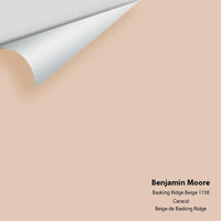 Big Paint Chip - Basking Ridge Beige 1158