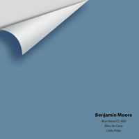 Benjamin Moore - Blue Nose 1678 / CC-800 Colour Sample