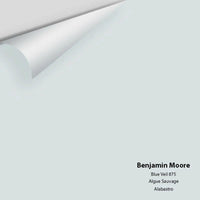 Benjamin Moore - Blue Veil 875 Colour Sample