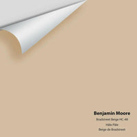 Benjamin Moore - Bradstreet Beige HC-48 Colour Sample