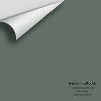 Benjamin Moore - Caldwell Green HC-124 Colour Sample