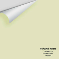 Benjamin Moore - Chameleon 526 Colour Sample