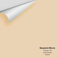 Big Paint Chip - Chamois 1108