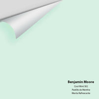 Benjamin Moore - Cool Mint 582 Colour Sample