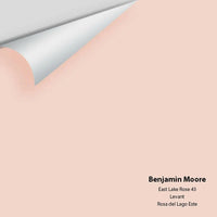 Big Paint Chip - East Lake Rose 43