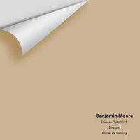 Benjamin Moore - Fairway Oaks 1075 Colour Sample