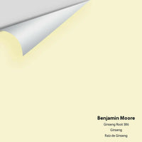 Benjamin Moore - Ginseng Root 386 Colour Sample