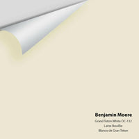 Benjamin Moore - Grand Teton White OC-132 Colour Sample