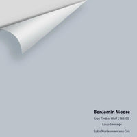 Benjamin Moore - Gray Timber Wolf 2126-50 Colour Sample