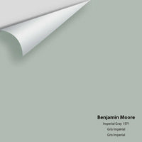 Benjamin Moore - Imperial Gray 1571 Colour Sample