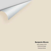 Benjamin Moore - Ionic Column 1016 Colour Sample
