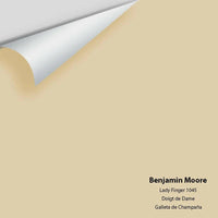 Benjamin Moore - Lady Finger 1045 Colour Sample