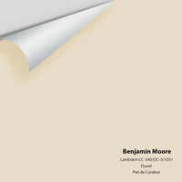Benjamin Moore - Lambskin 1051 / CC-340 / OC-3 Colour Sample
