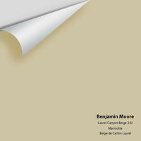Benjamin Moore - Laurel Canyon Beige 242 Colour Sample