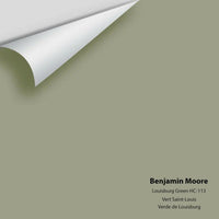 Benjamin Moore - Louisburg Green HC-113 Colour Sample