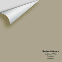 Benjamin Moore - Meditation AF-395 Colour Sample