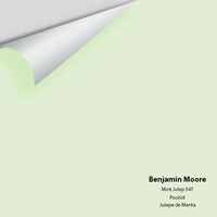Benjamin Moore - Mint Julep 547 Colour Sample
