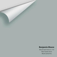 Benjamin Moore - Mount Saint Anne 1565 / CC-710 Colour Sample