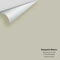 Benjamin Moore - Mountain Air CC-636 Colour Sample