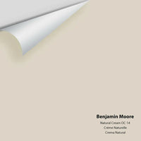 Benjamin Moore - Natural Cream OC-14 Colour Sample