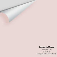 Benjamin Moore - Paisley Pink 1261 Colour Sample