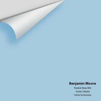 Benjamin Moore - Palatial Skies 800 Colour Sample