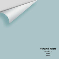 Benjamin Moore - Paradiso 717 Colour Sample