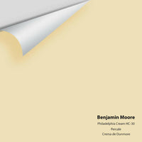 Benjamin Moore - Philadelphia Cream HC-30 Colour Sample