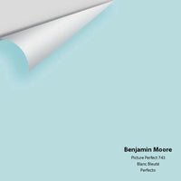Benjamin Moore - Picture Perfect 743 Colour Sample