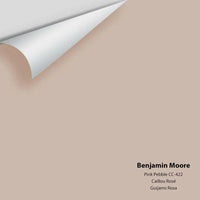 Benjamin Moore - Pink Pebble CC-422 Color Sample