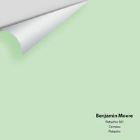 Benjamin Moore - Pistachio 561 Colour Sample