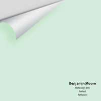 Big Paint Chip - Reflection 850