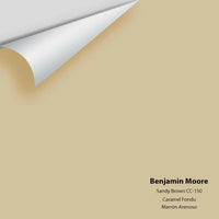 Benjamin Moore - Sandy Brown 1046 / CC-150 Colour Sample