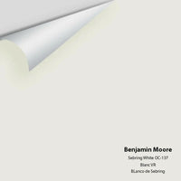 Benjamin Moore - Sebring White 1492 / OC-137 Colour Sample