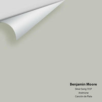 Benjamin Moore - Silver Song 1557 Color Sample