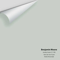 Benjamin Moore - Smoky Green CC-700 Colour Sample
