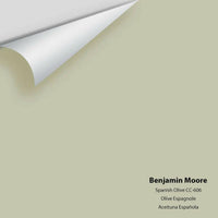 Benjamin Moore - Spanish Olive 1509 / CC-606 Colour Sample