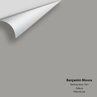 Benjamin Moore - Sterling Silver 1461 Colour Sample