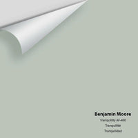 Benjamin Moore - Tranquillity AF-490 Colour Sample