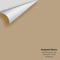 Benjamin Moore - Wild Mushroom CC-336 Colour Sample
