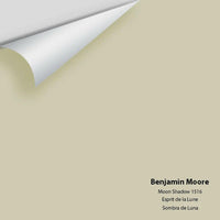 Benjamin Moore - Moon Shadow 1516 Colour Sample