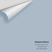 Benjamin Moore - November Skies 2128-50 Colour Sample