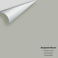 Benjamin Moore - Sea Haze 2137-50 Colour Sample