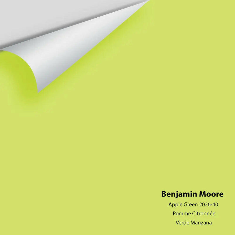 Big Paint Chip - Apple Green 2026-40