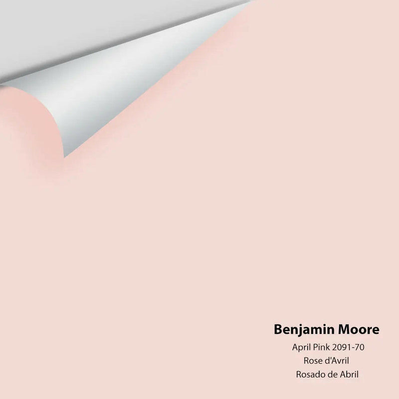 Big Paint Chip - April Pink 2091-70