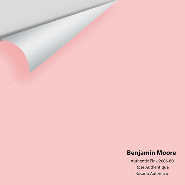 Big Paint Chip - Authentic Pink 2006-60