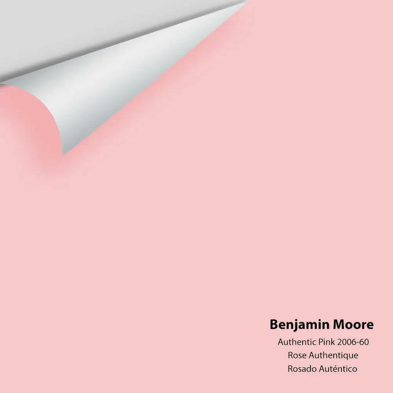 Big Paint Chip - Authentic Pink 2006-60
