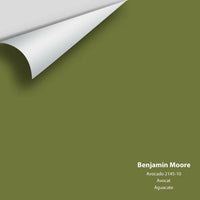 Big Paint Chip - Avocado 2145-10