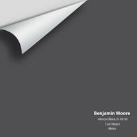 Benjamin Moore - Almost Black 2130-30 Colour Sample Benjamin Moore®